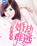 豪门强宠:婚劫难逃