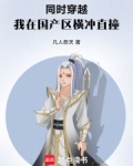同时穿越:我在国产区横冲直撞