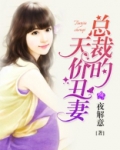 总裁的天价丑妻