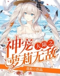 神宠大陆之萝莉无敌