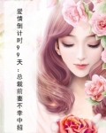 爱情倒计时99天:总裁前妻不幸中招