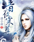 暗夜寒尊