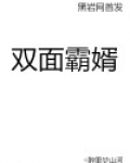 双面霸婿