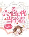 到六十年代当学霸