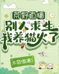 荒野直播:别人求生我养猫火了