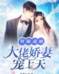替嫁成婚:大佬娇妻宠上天