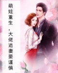 萌娃重生,大佬追妻要谨慎