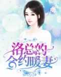 洛总的合约暖妻