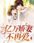 亿万娇妻不再爱