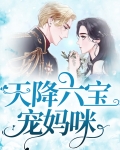 天降六宝宠妈咪
