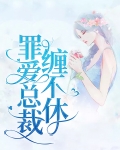 罪爱总裁缠不休