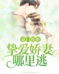 豪门暖婚:挚爱娇妻哪里逃