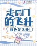 走后门的飞升,那也是飞升!