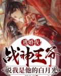 逃婚夜!战神王爷说我是他白月光