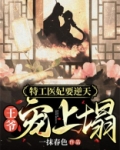 特工医妃要逆天:王爷宠上塌