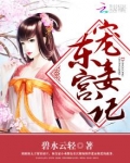东宫宠妾记
