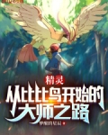 精灵:从比比鸟开始的大师之路