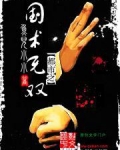 都市之国术无双