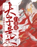 太子是朵白莲花