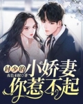 封少的小娇妻你惹不起