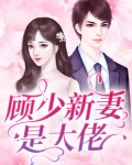 顾少新妻是大佬