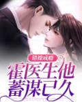 错撩成瘾,霍医生他蓄谋已久