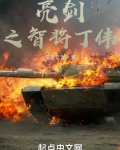 亮剑之智将丁伟