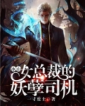 冰山女总裁的妖孽司机
