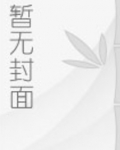 大宋贼首