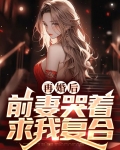 再婚后,前妻哭着求我复合