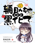 辅助她又又又黑化了
