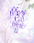 高冷上司缠宠妻
