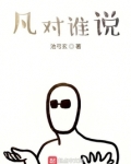 凡对谁说