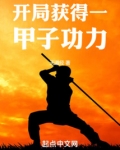 开局获得一甲子功力
