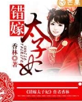 错嫁太子妃