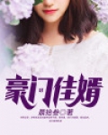 豪门佳婿