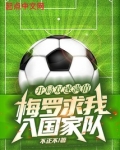 开局双速满值,梅罗求我入国家队
