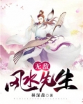 无敌风水先生