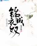 锦衣成双