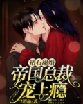 钻石甜婚:帝国总裁撩上瘾