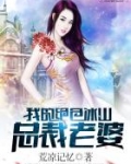 我的绝色冰山总裁老婆