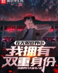 在无限世界中,我拥有双重身份
