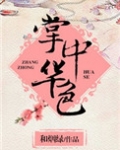 掌中华色