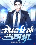 我给女神当司机