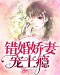 错婚娇妻宠上瘾