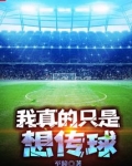 我真的只是想传球