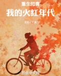 重生知青:我的火红年代