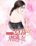 浓情虐爱:总裁的潜逃妻