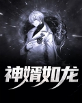 神婿如龙