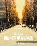 重活86:棚户区里的逆袭